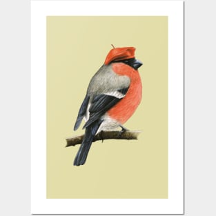 Eurasian bullfinch Posters and Art